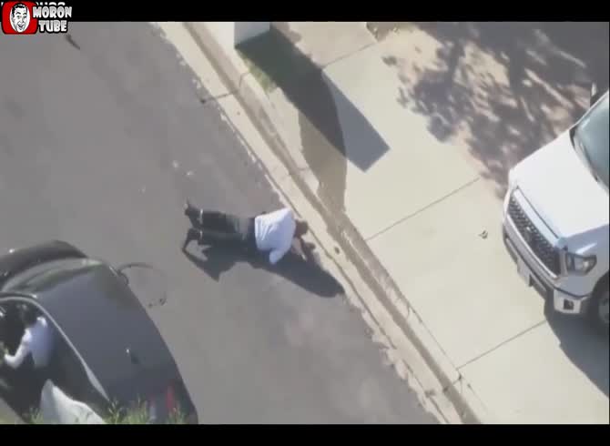 Video :A swarm of bees assaulted a Los Angeles police officer